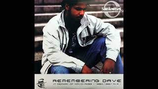 Substantial - Remembering Dave(12")