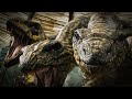 Top 10 Best Medieval Fantasy Movies to Watch! (Historical Action)