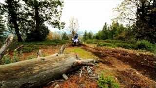 The 2013 Yamaha Raptor 250