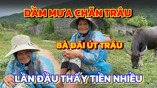 BÀ ĐÃI ÚT CON TRÂU, bà cụ DẦM MƯA chăn trâu cả ngày, TIỀN NHIỀU quá bà ĐẾM KHÔNG NỔI | ÚT 85 642