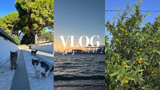 Patras Vlog