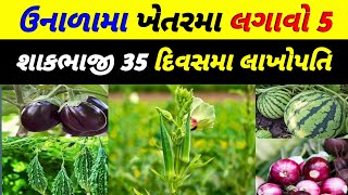 ઉનાળુ શાકભાજીની ખેતી || unalu shakbhaji kheti || ઉનાળુ શાકભાજી વાવેતર || garmi ki sabji kab lagaye