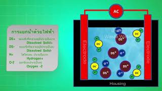 ระบบบำบัดน้ำเสีย | แยกน้ำด้วยไฟฟ้า | ZD Tech co.,Ltd.