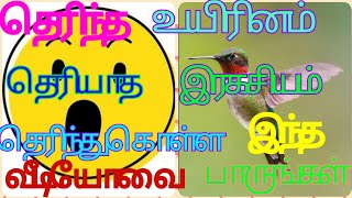 Interesting Facts 1  in Tamil  நாம் அறிந்த ஒன்றின் அறியாத தகவல்