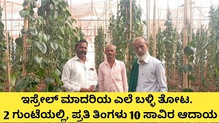 ಇಸ್ರೇಲ್ ಮಾದರಿಯ ಎಲೆ ಬಳ್ಳಿ ತೋಟ | 2 ಗುಂಟೆ , ಪ್ರತಿ ತಿಂಗಳು 10 ಸಾವಿರ ಆದಾಯ ಪಡೆಯುವ ರೈತ | ಸಮಗ್ರ ಕೃಷಿ