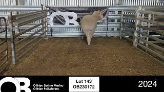 Lot 143 - OB230172