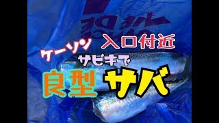 西宮ケーソン   fishingmax武庫川店