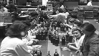 Interior of a distillery, whiskey bottles are checked, loaded, wrapped and packed...HD Stock Footage