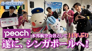 【初便】本邦キャリアの新規就航は14年ぶり！Peachで飛ぶシンガポール【a-suka.tv】Vol.151-1