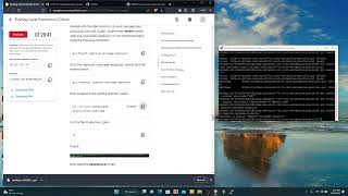 Introduction To Git & GitHub module 4 | Coursera Google IT Automation with Python