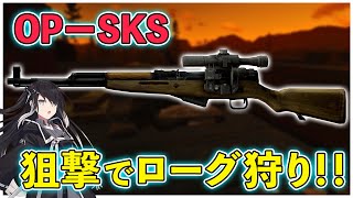 【タルコフ】SKSで簡単ローグ狩り!!久しぶりのライトハウス!!【EFT】【Coefont】