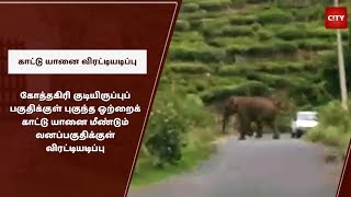 கோத்தகிரி குடியிருப்புப் பகுதிக்குள் புகுந்த ஒற்றைக் காட்டு யானை மீண்டும் விரட்டியடிப்பு