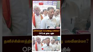 தனிச்சின்னத்தில் போட்டியிடுவது பலவீனம்மா? OPS-ன்  நச்சு பதில் | OPS | Lok Sabha Election 2024