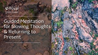 7-Minute Guided Meditation with a Mental Health Expert for Slowing Thoughts & Returning to Present
