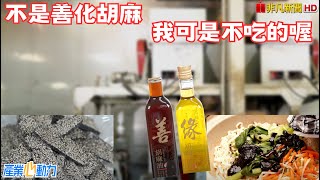 【胡麻舌尖】前進善化農會芝麻油廠，首次對外公開芝麻冰棒工廠 | 產業心動力