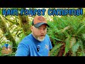 River Front Camping in Hoh National Rain Forest NP! & Forks, Washington