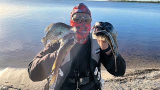 Mission Completed CRAPPIE FISHING 30 Degree Weather 🥶in Florida