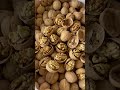 walnuts walnut kernels from china