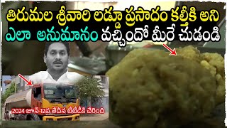 లడ్డూ ప్రసాదం కల్తీకి అని అనుమానం ఎలా ? Tirupati Laddu Row: What Is The Story Behind Tirupati Laddu?