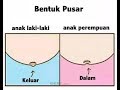 Ternyata Mudah!! Cara Mengetahui Jenis Kelamin Anak Saat Di Kandungan