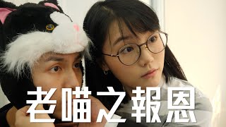 試映劇場《老喵之報恩》｜試當真