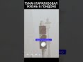 Аномальный туман в Лондоне