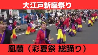 【凰蘭】【大江戸新座祭り】【彩夏祭 総踊り】