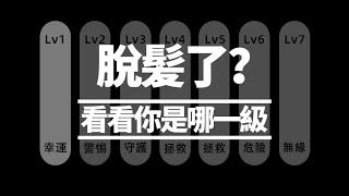 【脫髮等级】脫髮等級自測！看看你到哪一級？丨植髮醫生徐魯