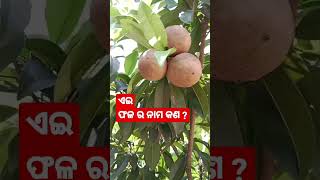 ଏଇ ଫଳ ର ନାମ କଣ ?// #viral #shorts #new #fruits #confused #viralvideo #trending #shortsfeed