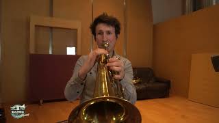 BLECHREIZ BRASS QUINTET 2024 (LIVE) - Balkan Fever