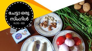 ചേട്ടാ ഒരു സിംഗിൾ | EASY EGG RECIPES | VLOG 023