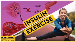 How does exercise increase insulin sensitivity? | Mastering Diabetes | Cyrus Khambatta
