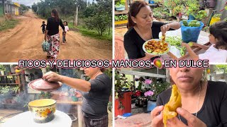 Today I made MANGO JAM 🥭 CREOLE, household activities 🏡.