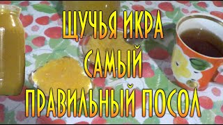 Засолка щучьей икры. Самый правильный горячий посол. Репост к икряному сезону. 🐟