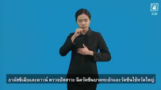 บริการสร้างเสริมสุขภาพและป้องกันโรค กลุ่มหญิงตั้งครรภ์และหลังคลอด (วีดีโอแปลภาษามือ)