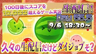 【スイカゲーム】100日後に10,000点を超えるゲーム実況者【Day55.5】