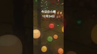 運河プラザでのイベントは初開催！キャンドルの灯りが幻想的✨小樽ではお祝い事に寿司を食べる習慣なので夕方には寿司が売り切れてました😁　#小樽 #クリスマス