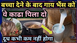 बच्चा देने के बाद गाय भैंस को ये काढ़ा पिला दे👌दूध कभी कम नहीं होगा👉Dudh Badhane ka farmula