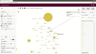 word2vec projector example programmer