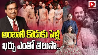 అంబానీ కొడుకు పెళ్లి ఖ‌ర్చు ఎంతో తెలుసా | Mukesh Ambani Son Anant Ambani Marriage Budget | Dial News