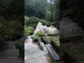 Storming at the Berkeley Rose Garden. Video: Anna Carlson