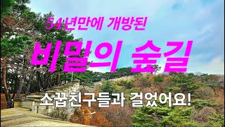 54년만에 개방된 비밀의 숲길, 소꿉친구들과 걸었어요!(Walking on the Hanyangdoseong trail of Bukaksan Mountain)