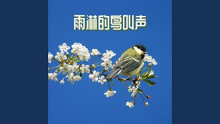 纯音乐