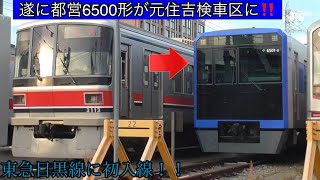 【遂に都営6500形が元住吉検車区に入線‼️】11月03日の終電後、都営6500形6501Fが元住吉検車区へ回送される〜東急目黒線に初めて入線〜次の東急目黒線の夜間試運転は都営6500形が実施に〜