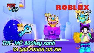 ROBLOX - LẦN ĐẦU MỞ GOD POTION VÀ THỬ SĂN BÌNH XỊN VỚI GẦN 1000 KEY XANH VÀ CÁI KÊT - PETS GO