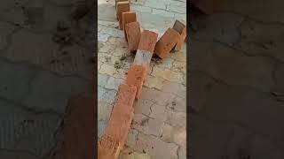 Bricks domino #short #shortvideo #viralvideo #masti