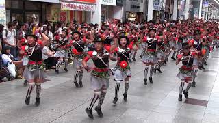 高知よさこい祭り2018　全国大会　サニーグループよさこい踊り子隊ＳＵＮＮＹＳ