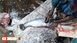 Admirable Koral Fish Cutting Skills Asian Sea Bass Fish Cutting Ep-14  |  Fish Cutting Skills