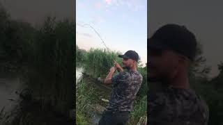 Catch and Release Biban la Baby Pro