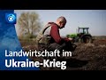 Ukraine: Landwirte kämpfen um Existenz